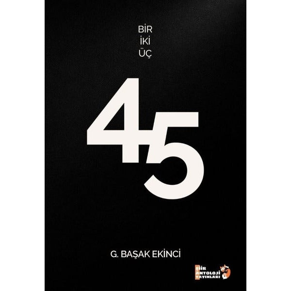 45 | Şiir Antoloji Yayınları (İnce Kapak)