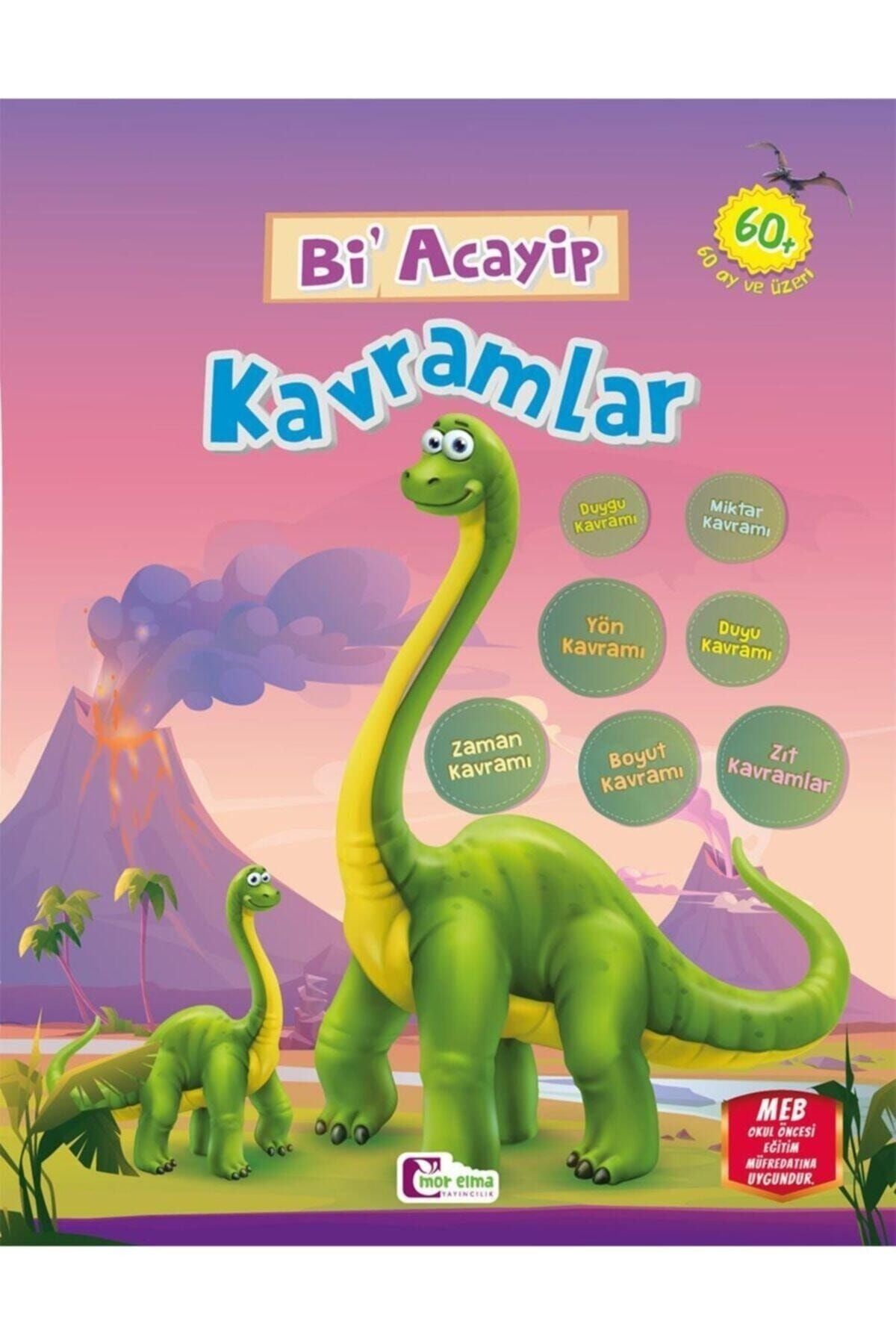 Bi' Acayip Kavramlar Okul Öncesi Eğitim Kitabı kitap kapağı