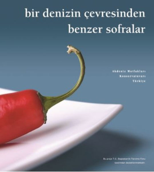 Bir Denizin Çevresinden Benzer Sofralar - Güzin Yalın kitap kapağı