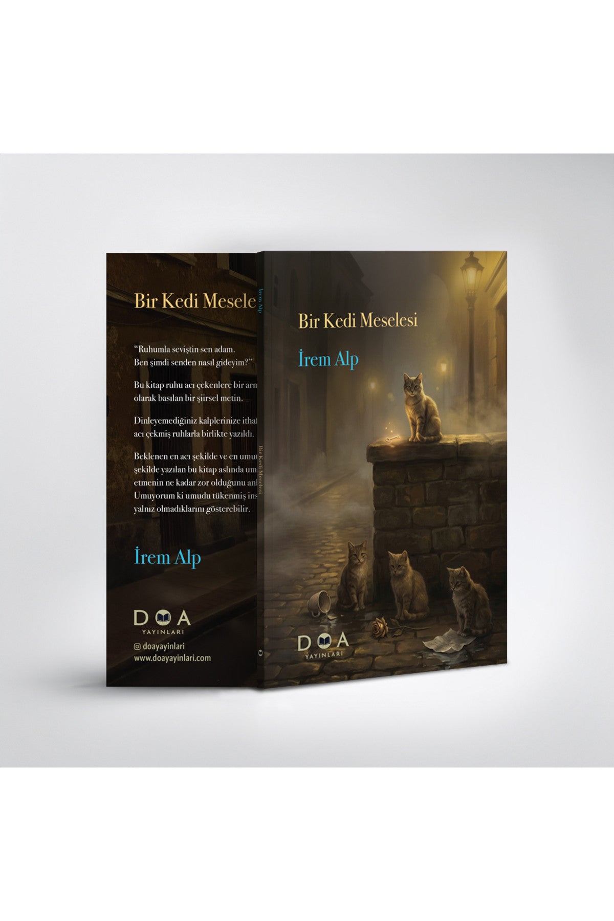 Bir Kedi Meselesi - İrem Alp kitap kapağı