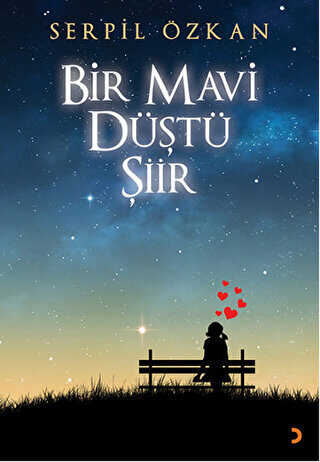Bir Mavi Düştü Şiir - Serpil Özkan kitap kapağı