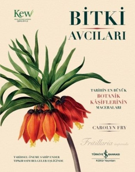 İş Bankası Kültür Yayınları Bitki Avcıları - Carolyn Fry kitap kapağı