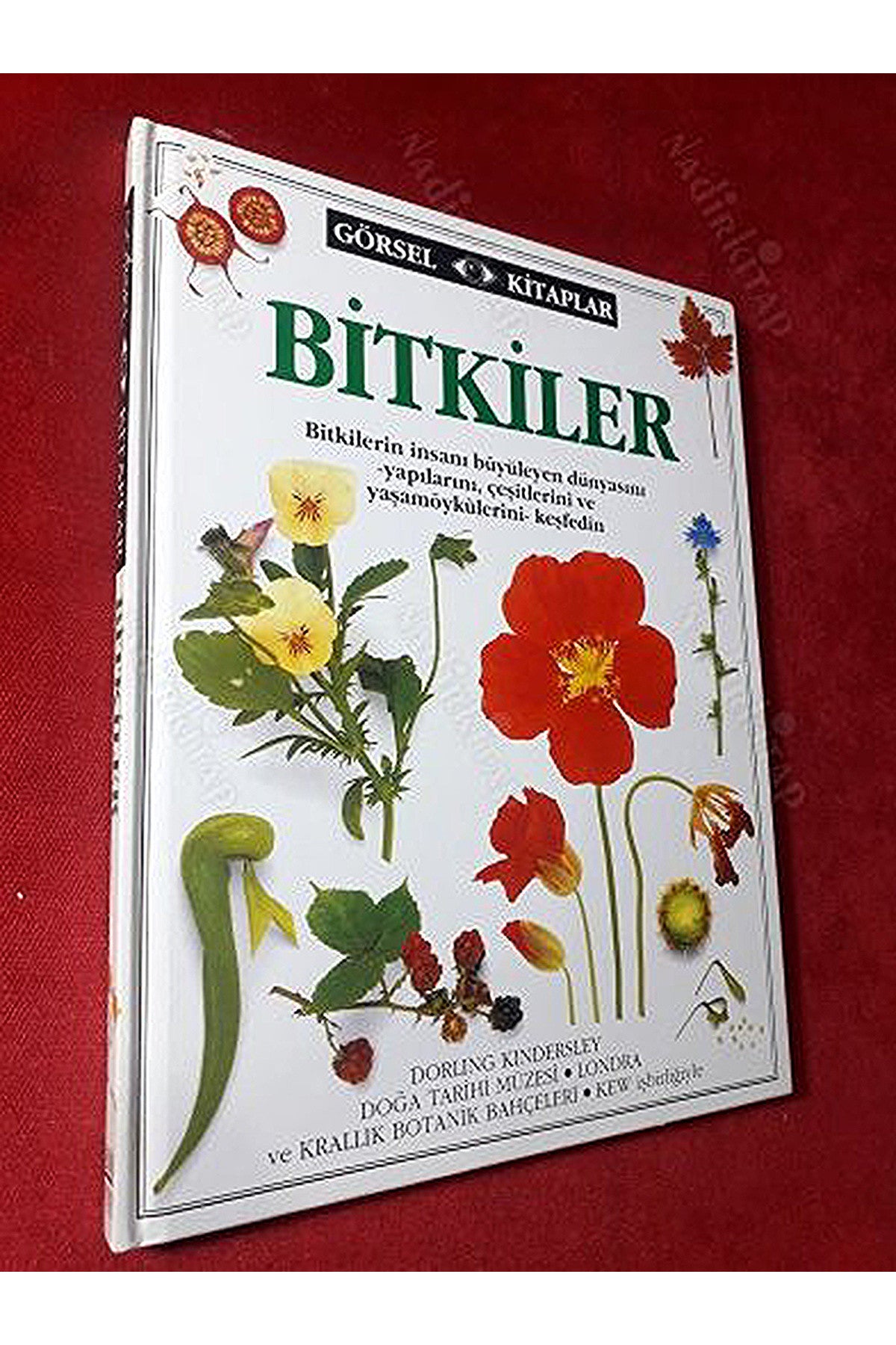 Bitkiler - Bitkilerin İnsanı Büyüleyen Dünyasını, Yapılarını, Çeşitlerini Ve Yaşam Öyküleri kitap kapağı