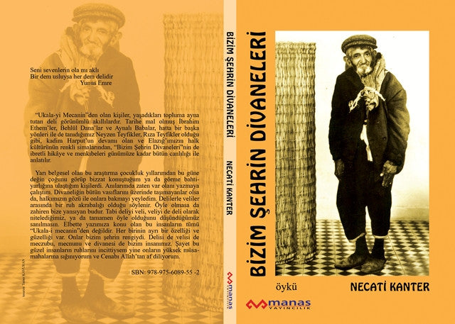 Bizim Şehrin Divaneleri - Necati Kanter kitap kapağı