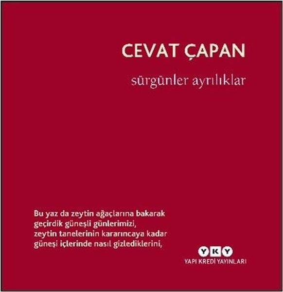 Sürgünler Ayrılıklar | Yapı Kredi Yayınları (İnce Kapak) - Resim 1