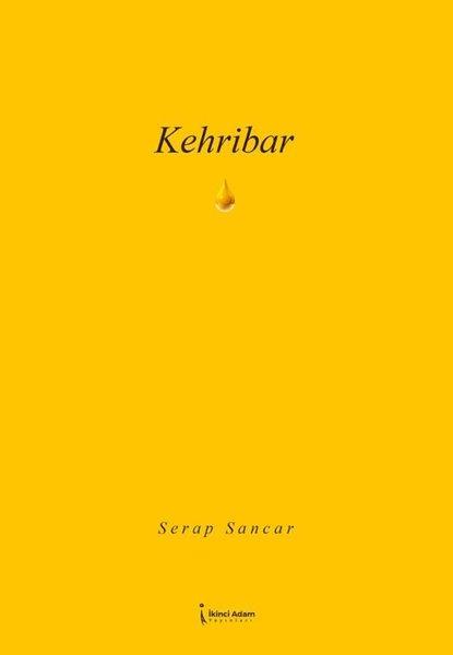 Kehribar | İkinci Adam Yayınları (İnce Kapak) - Resim 1