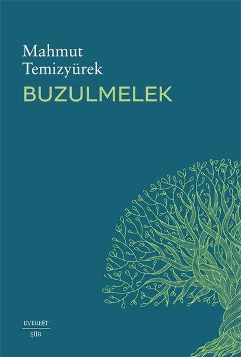 Buzulmelek | Everest Yayınları