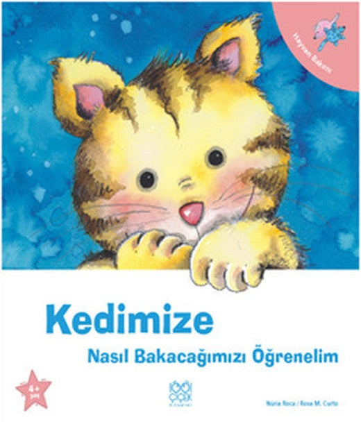 Kedimize Nasıl Bakacağımızı Öğrenelim | 1001 Çiçek