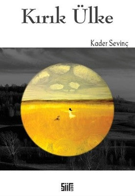 Kırık Ülke | Şiirden Yayınları