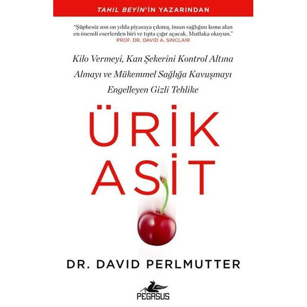 Ürik Asit | Pegasus (İnce Kapak)