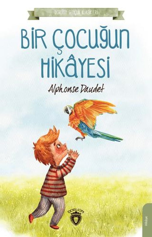 Bir Çocuğun Hikayesi | Dorlion Yayınları (Ciltsiz)