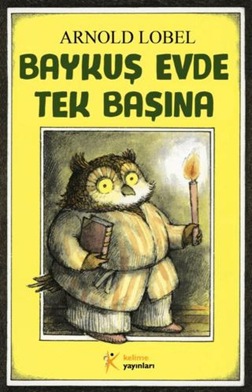Baykuş Evde Tek Başına