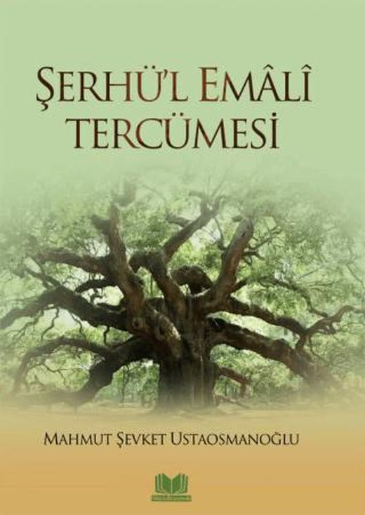 Şerhü'l Emali Tercümesi