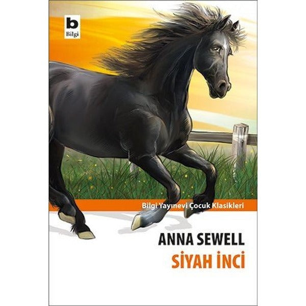 Siyah İnci | Bilgi Yayınevi