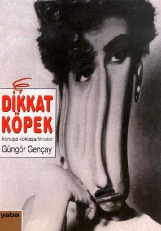 Dikkat Köpek Var