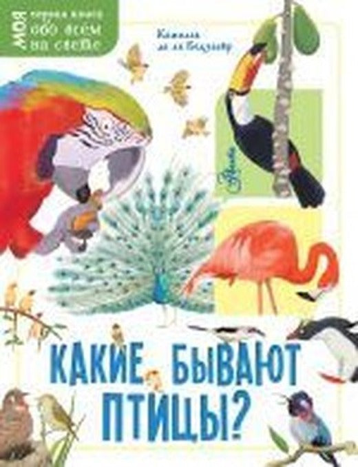 Kakiye byvayut ptitsy? | Ast