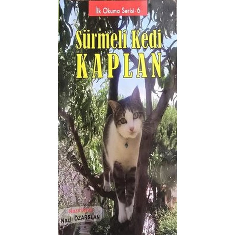 Sürmeli Kedi Kaplan - İlk Okuma Serisi 6 | Kalem Lugat Yayıncılık (İnce Kapak)