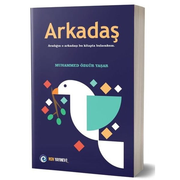 Arkadaş | NSN Yayınevi (İnce Kapak)