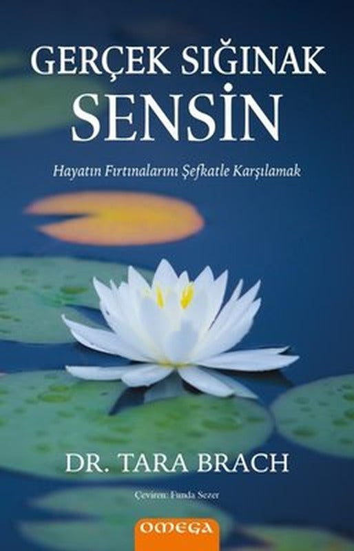 Gerçek Sığınak Sensin - Hayatın Fırtınalarını Şefkatle Karşılamak | Omega