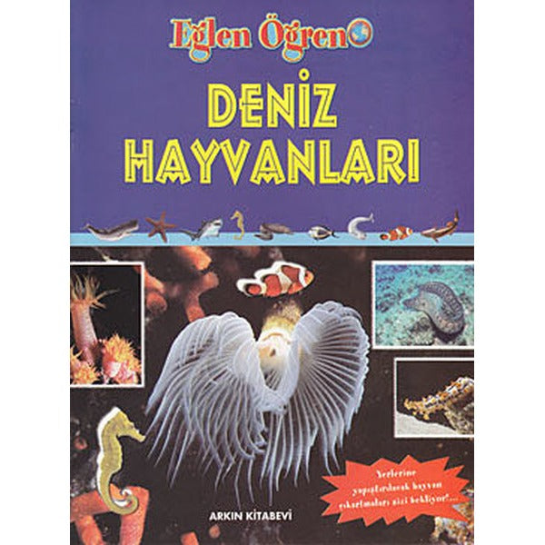 Eğlen Öğren Dizisi - Deniz Hayvanları (Çıkartmalı) | Arkın (İnce Kapak)