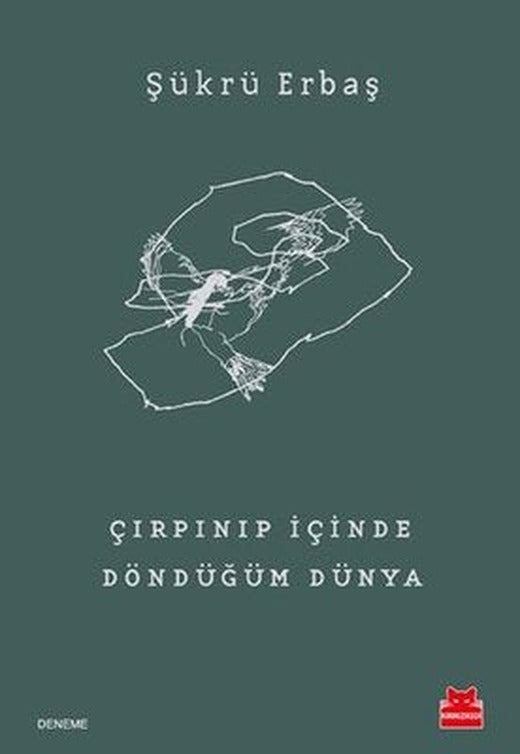 Çırpınıp İçinde Döndüğüm Dünya | Kırmızı Kedi