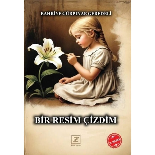 Bir Resim Çizdim