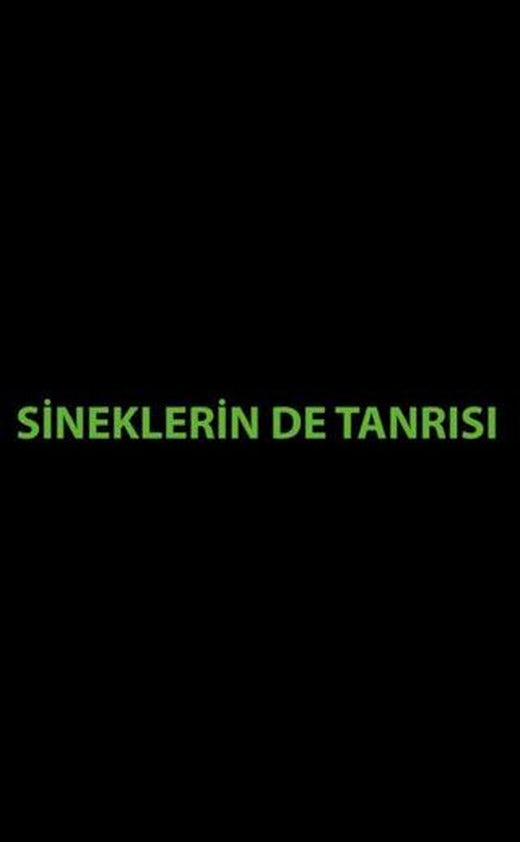 Sineklerin de Tanrısı