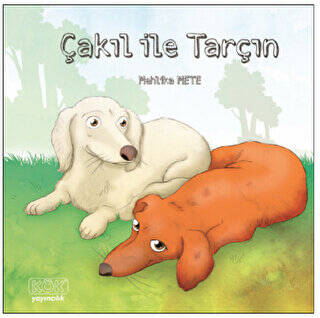 Çakıl ile Tarçın - Mehlika Mete kitap kapağı