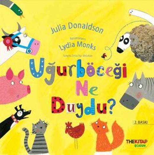 Uğurböceği Ne Duydu? | The Kitap Çocuk (Ciltsiz)