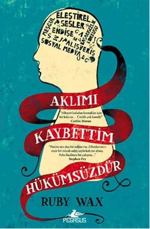 Aklımı Kaybettim Hükümsüzdür | Pegasus (İnce Kapak)