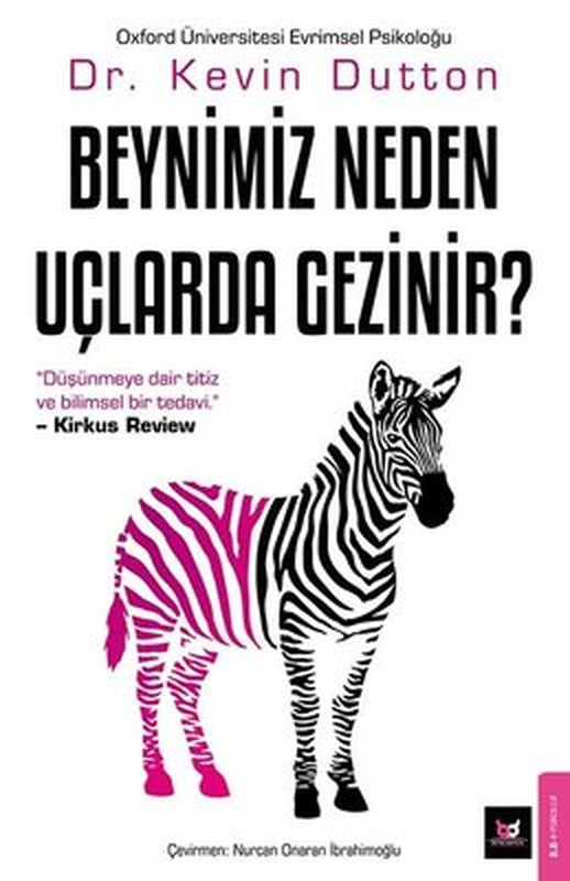 Beynimiz Neden Uçlarda Gezinir? | Beyaz Baykuş