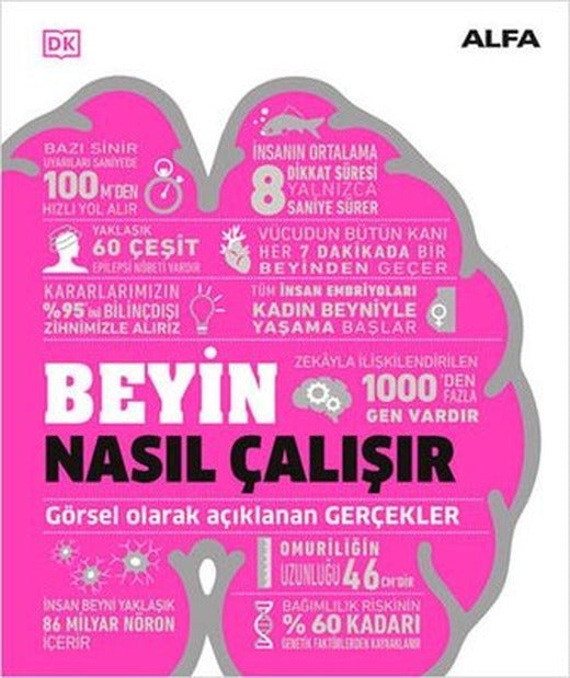 Beyin Nasıl Çalışır - Görsel Olarak Açıklanan Gerçekler | Alfa Yayınları