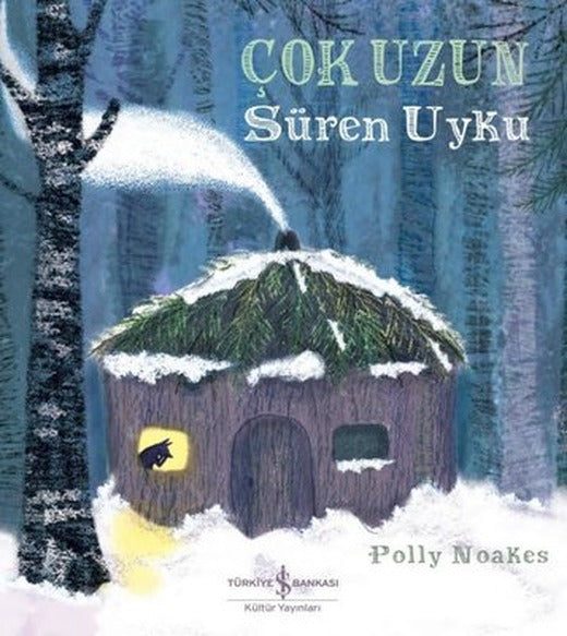 Çok Uzun Süren Uyku | İş Bankası Kültür Yayınları