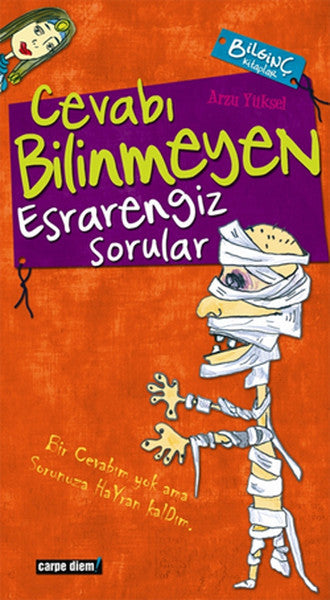 Cevabı Bilinmeyen Esrarengiz Sorular - Arzu Yüksel kitap kapağı
