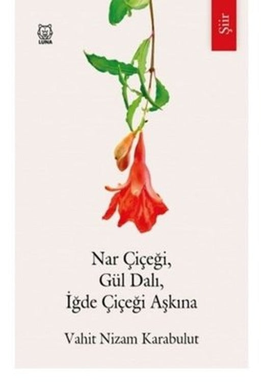 Nar Çiçeği Gül Dalı İğde Çiçeği Aşkına | Luna Yayınları