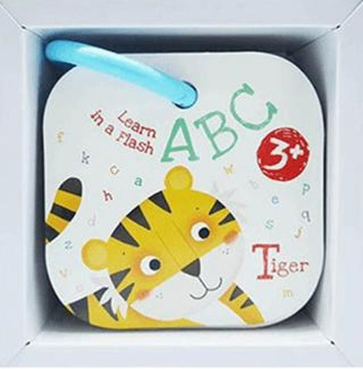Abc Learn In A Flash | Yoyo Books (Ciltli)