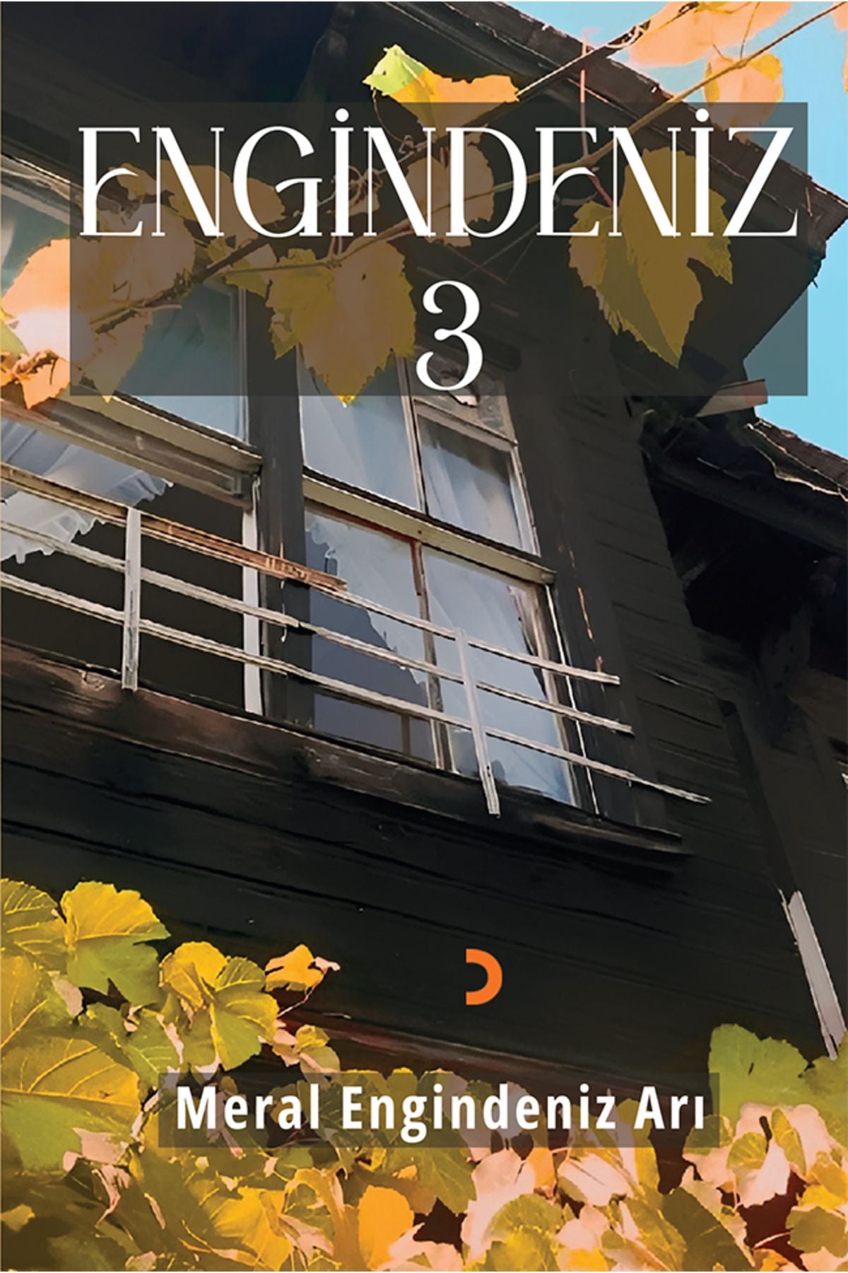 Cinius Yayınevi Engindeniz 3 & Meral Engindeniz Arı kitap kapağı