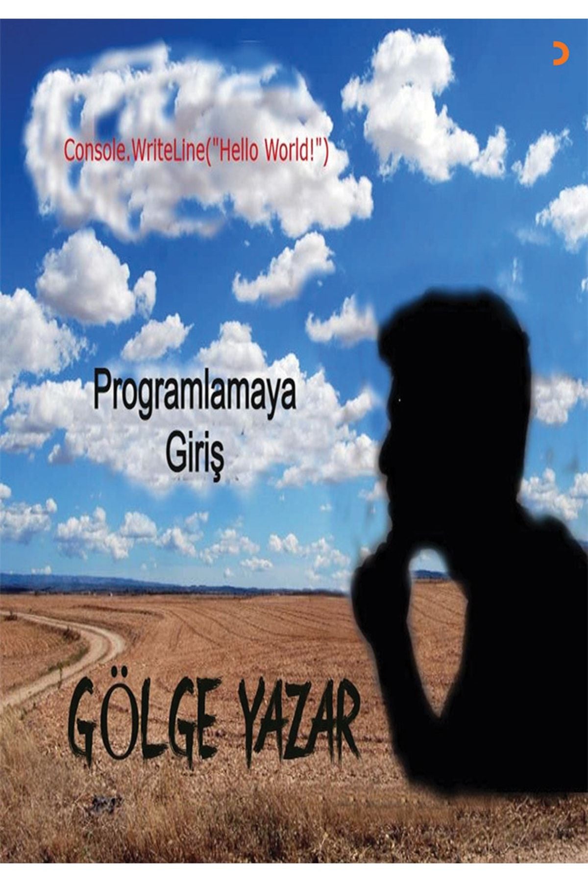 Cinius Yayınevi Programlamaya Giriş & Gölge Yazar - Gölge Yazar kitap kapağı