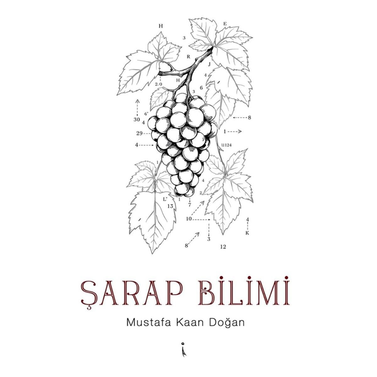 Şarap Bilimi | İkinci Adam Yayınları (İnce Kapak)