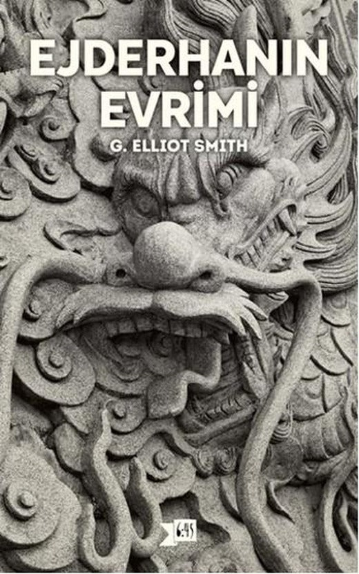 Ejderhanın Evrimi | Altıkırkbeş Basın Yayın (İnce Kapak)