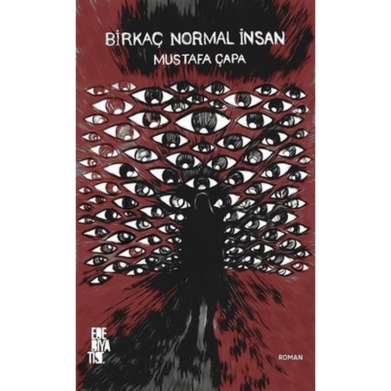 Birkaç Normal İnsan | Edebiyatist Yayınları