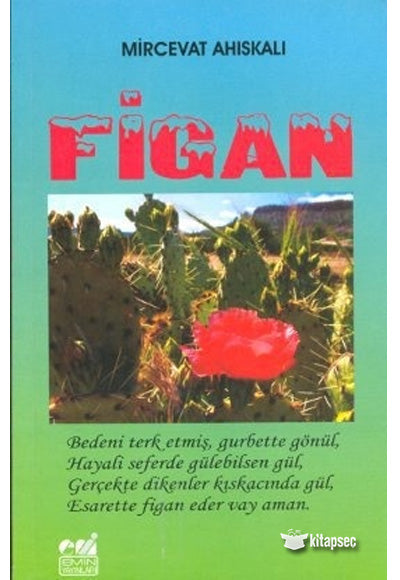 Figan - Mircevat Ahıskalı kitap kapağı