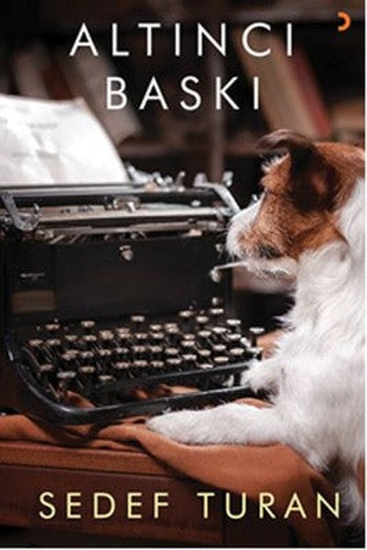 Altıncı Baskı | Cinius