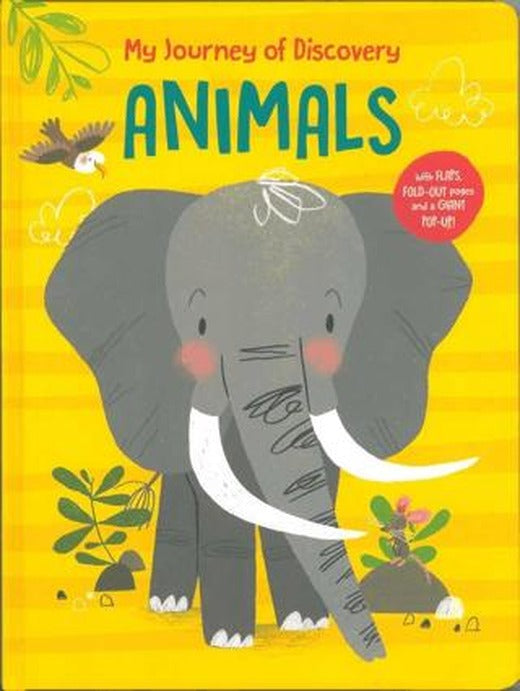 My Journey Of Discovery: Animals | Yoyo Books (Ciltli)