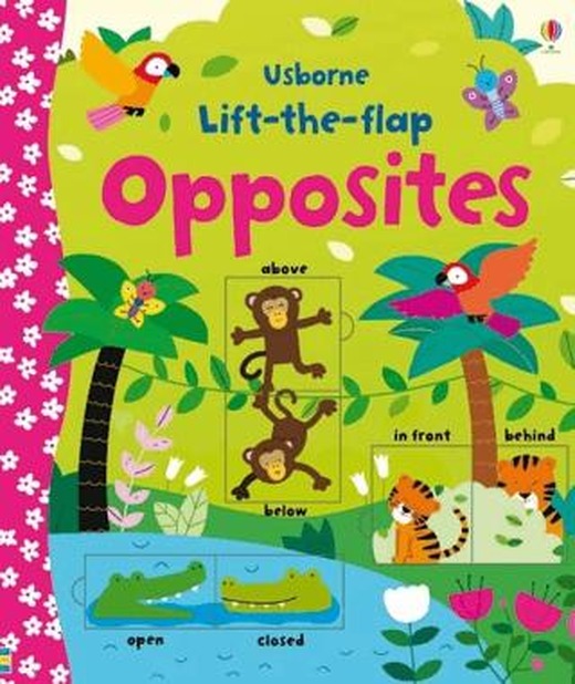 Lift-The-Flap Opposites | Usborne (Ciltsiz)