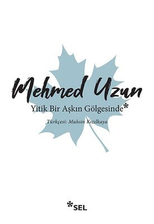 Yitik Bir Aşkın Gölgesinde | Sel Yayıncılık