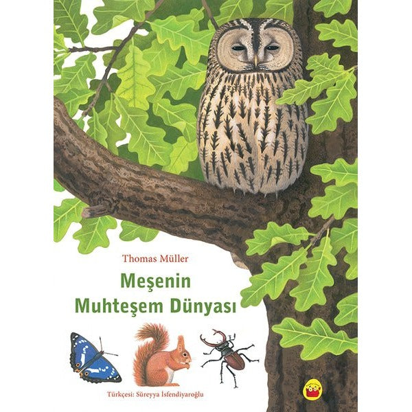 Meşenin Muhteşem Dünyası | Kuraldışı Yayınları (İnce Kapak)