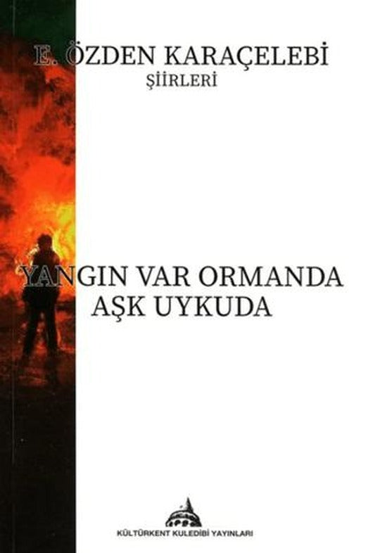 Yangın Var Ormanda Aşk Uykuda