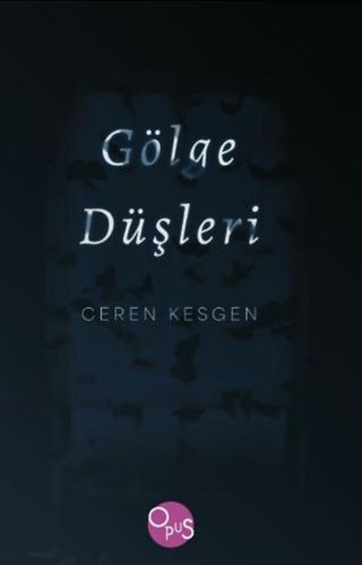 Gölge Düşleri