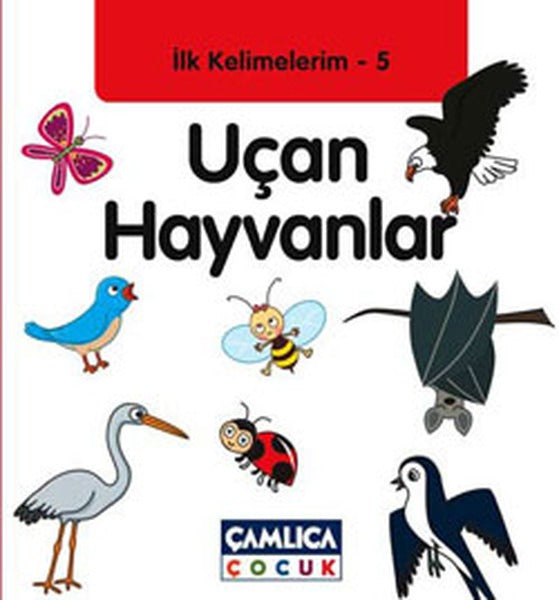 İlk Kelimelerim 5: Uçan Hayvanlar
